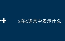 x在c语言中表示什么