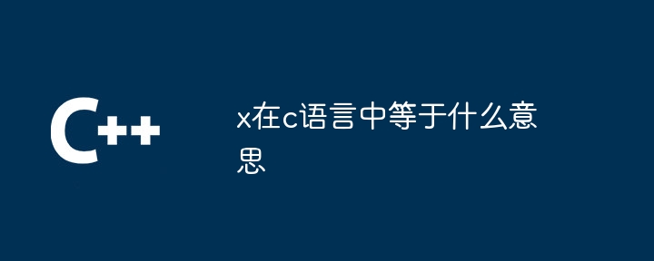 C 언어에서 x는 무엇을 의미합니까?