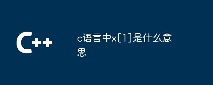 C 언어에서 x[1]은 무엇을 의미합니까?