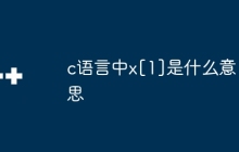 c语言中x[1]是什么意思