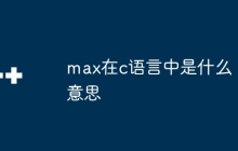 max在c语言中是什么意思