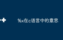 %x在c语言中的意思