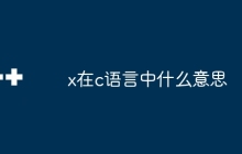 x在c语言中什么意思