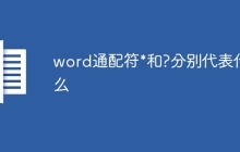 word通配符*和?分别代表什么