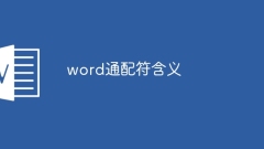 word wildcard meaning