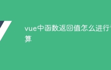vue中函数返回值怎么进行计算