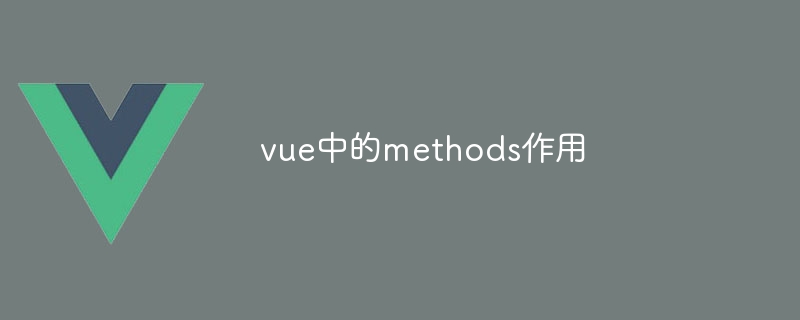 The role of methods in vue