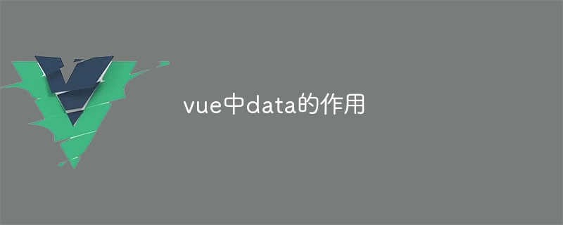 The role of data in vue