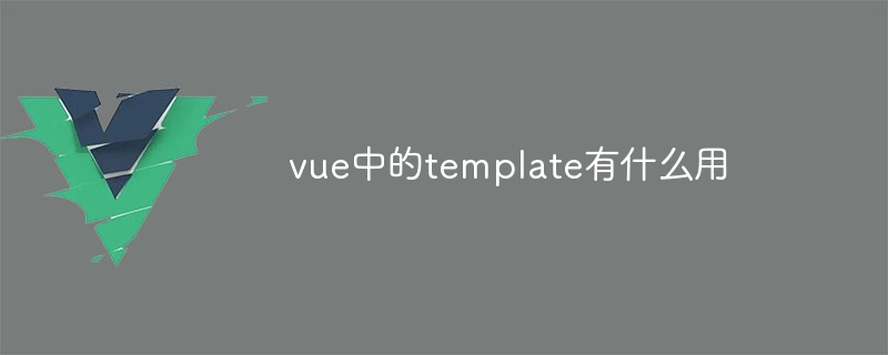 What is the use of template in vue