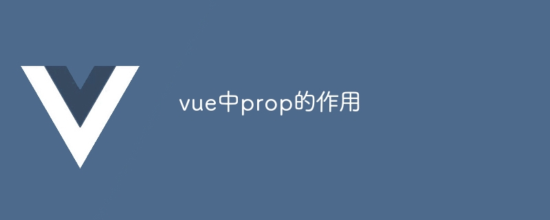 The role of prop in vue