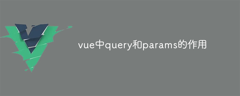 The role of query and params in vue