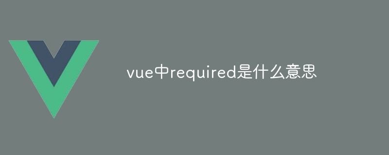 What does required mean in vue