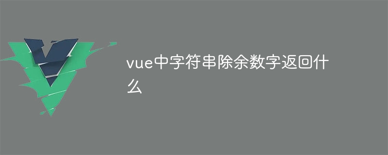 Vue에서 문자열을 나머지 숫자로 나눌 때 반환되는 것은 무엇입니까?