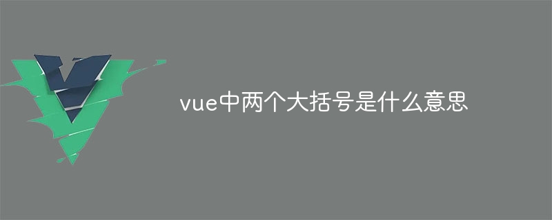 vue中兩個大括號是什麼意思