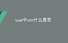 vue中vm什么意思