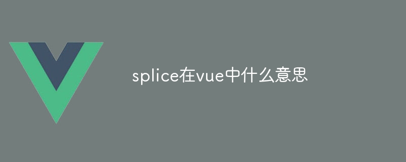 What does splice mean in vue?