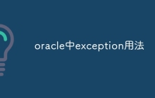 oracle中exception用法