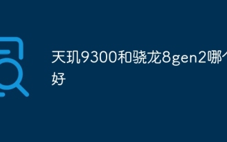 Dimensity 9300과 Snapdragon 8gen2 중 어느 것이 더 낫습니까?