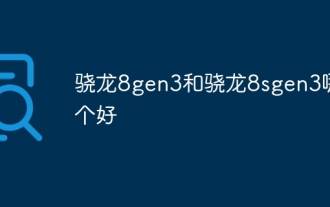 Snapdragon 8gen3과 Snapdragon 8sgen3 중 어느 것이 더 낫습니까?