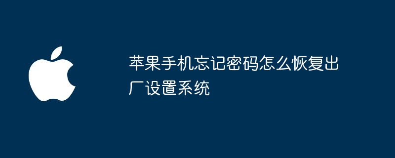 蘋果手機忘記密碼怎麼恢復出廠設定係統