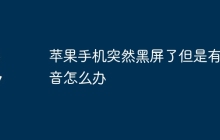 苹果手机突然黑屏了但是有声音怎么办