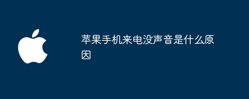 Apple 휴대폰에서 전화가 올 때 소리가 나지 않는 이유는 무엇입니까?