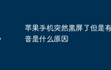 苹果手机突然黑屏了但是有声音是什么原因