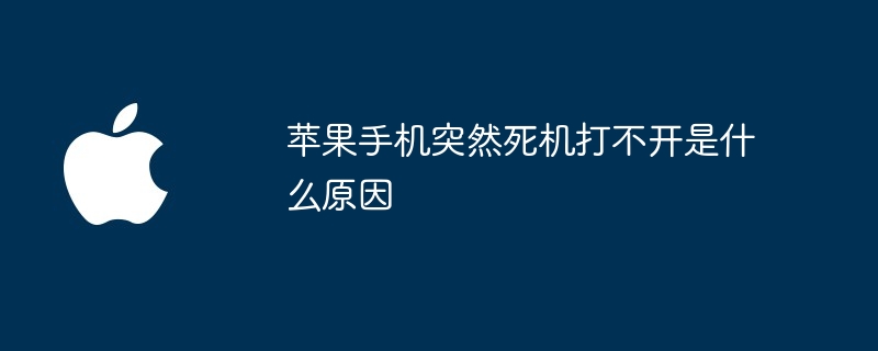 Apple 휴대폰이 갑자기 정지되어 켜지지 않는 이유는 무엇입니까?