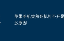 苹果手机突然死机打不开是什么原因
