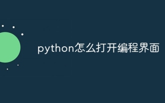 So öffnen Sie die Programmierschnittstelle in Python