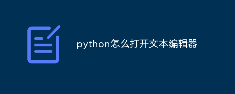 python怎么打开文本编辑器