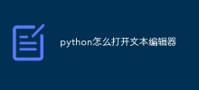 python怎麼開啟文字編輯器