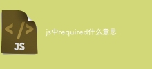 What does required mean in js