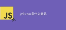 What does rem mean in js
