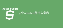 What does resolve mean in js