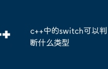 c++中的switch可以判断什么类型