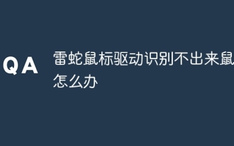 Razer 마우스 드라이버가 마우스를 인식하지 못하는 경우 어떻게 해야 합니까?