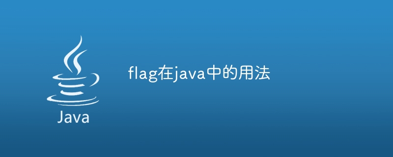 How to use flag in java