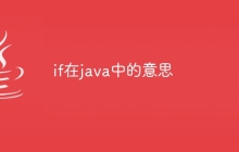 if在java中的意思