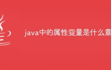 java中的属性变量是什么意思