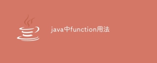 Function usage in java