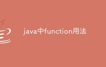 java中function用法