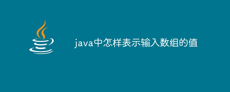 java中怎样表示输入数组的值