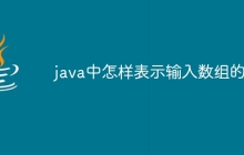 java中怎样表示输入数组的值