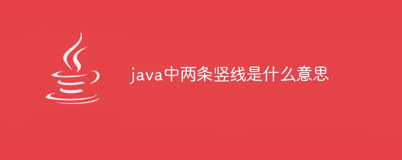 Javaでの2本の垂直線は何を意味しますか