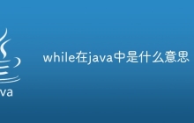 while在java中是什么意思