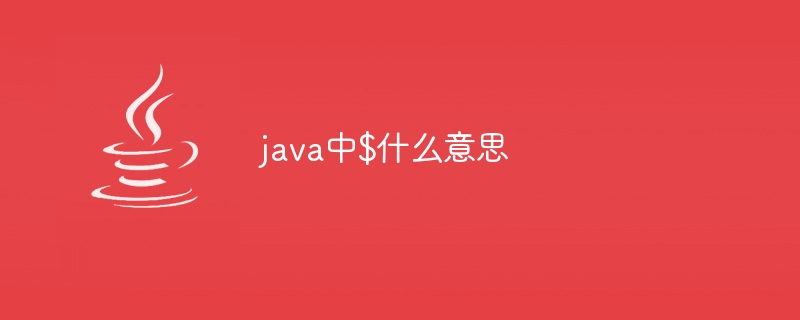 Java で $ は何を意味しますか?