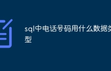 sql中电话号码用什么数据类型