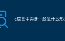 c语言中实参一般是什么形式