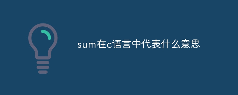 sum在c語言中代表什麼意思